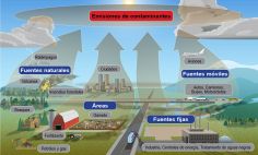 La contaminación ambiental viene de muchas fuentes diferentes.